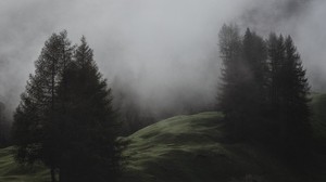 fog, trees, meadow, mountains, Italy