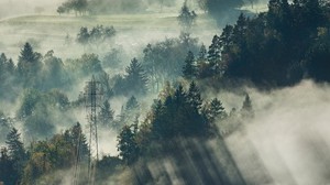 fog, trees, top view, forest, bled, Slovenia
