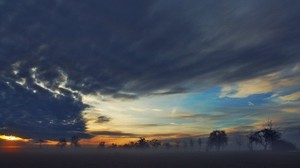 fog, trees, sky, clouds - wallpapers, picture