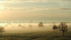 fog, trees, field, haze, sky, clouds, lightness - wallpapers, picture
