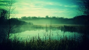fog, reeds, pond, dusk, gloomy