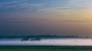 fog, field, dawn, trees, sky