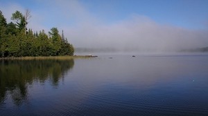 fog, river, shore, trees, ripples
