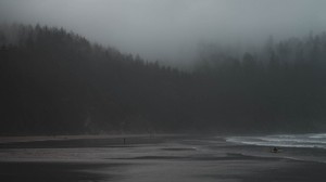 fog, river, trees, gloomy