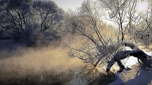 fog, river, tree, ice, cold, frost, evaporation, dawn, morning, hoarfrost