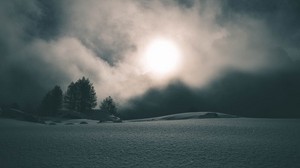 fog, snow, trees, night