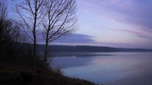 fog, freshness, morning, slope, tree, lake - wallpapers, picture