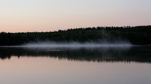fog, body of water, trees, shore, evening, outlines