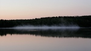 nebbia, specchio d’acqua, alberi, riva, sera, contorni