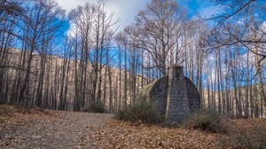 shelter, stones, forest, trees