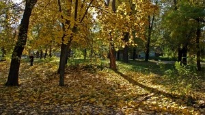 Ukraine, Dnepropetrovsk, forest, leaf fall, girl, shadows