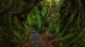 gorge, stairs, foliage, moss, devil’s stairs, finnic, scotland