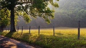 朝、フェンシング、木、影、夜明け、鮮度、ワイヤー、アスファルト