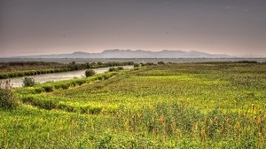 valencia, spagna, fiume, lago, erba, paesaggio - wallpapers, picture