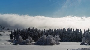 Wasrkup, mountain, forest, winter, snow, hurricane