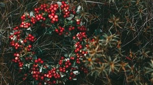 wreath, berries, grass, blur - wallpapers, picture