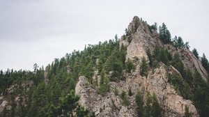 peak, mountain, trees
