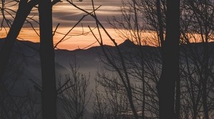 branches, trees, sunset, mountains, fog