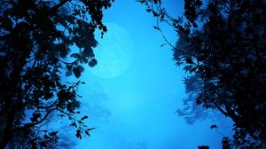 branches, fog, art, leaves, moon - wallpapers, picture