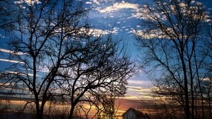 branches, trees, sunset, evening, twilight, sky, clouds, the house, tilt