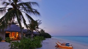 villa, romance, coast, palm trees, evening, light