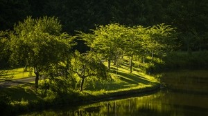 弗吉尼亚州，公园，湖泊，自然，树木