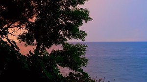 Wasser, Ufer, Bäume, Horizont, Landschaft