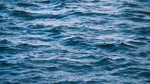 acqua, mare, onde, increspature, superficie - wallpapers, picture