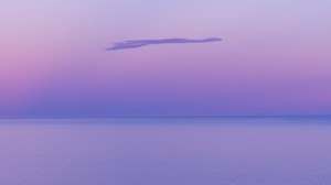 水，云，地平线，紫色，阴霾