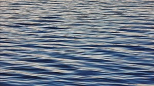 water, surface, ripples, waves - wallpapers, picture