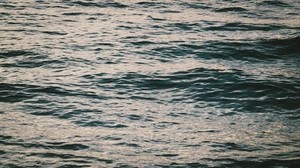water, surface, sea