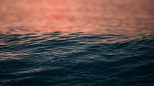 water, ripples, sea, sunset, horizon - wallpapers, picture