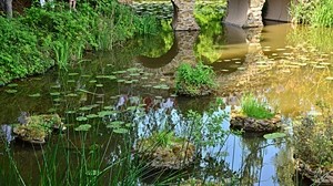 水域、橋、植生、自然