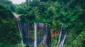 waterfall, trees, forest, green, flow, cliff