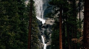 waterfall, trees, water, flow, cliff - wallpapers, picture
