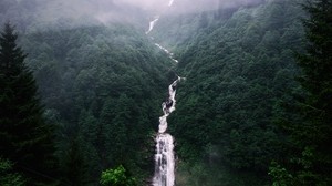 waterfall, trees, fog