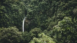 waterfall, trees, top view - wallpapers, picture