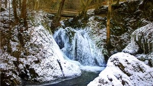 waterfall, germany, buchel, bridge, snow, forest