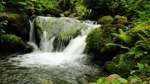 waterfall, georgia, park, mtirala adjara, nature