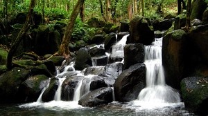 waterfall, stones, forest, water, flows, trees, trunks - wallpapers, picture