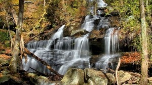 waterfall, cascades, forest, leaves, trees, stones