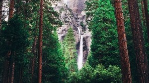 waterfall, forest, trees - wallpapers, picture