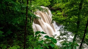 waterfall, forest, trees, bushes, greens