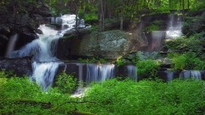 waterfall, forest, vegetation, nature