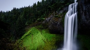 vattenfall, mossa, kulle, träd - wallpapers, picture
