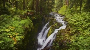 waterfall, cliff, forest, stream, fencing, river, leaves, moss, greens - wallpapers, picture