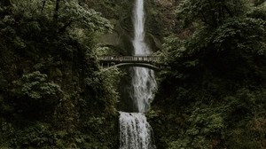 Cascada, acantilado, puente, árboles, agua - wallpapers, picture