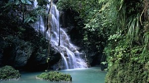 waterfall, vegetation, greens, gorge, moss, leaves