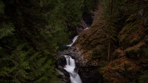 waterfall, river, current, trees, forest - wallpapers, picture