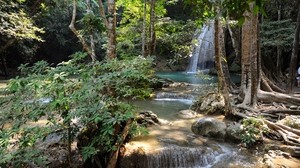 waterfall, river, course, vegetation, trees, bushes, shadow, stones, roots, jets